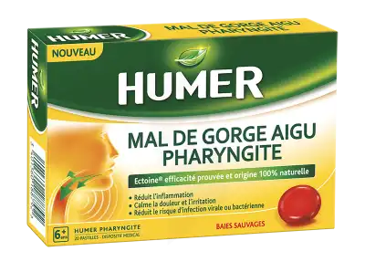 Humer Pharyngite Past Mal De Gorge Baies Sauvages à Angers