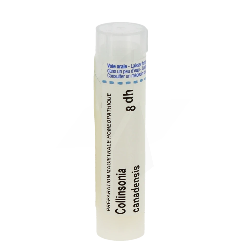 Boiron Collinsonia Canadensis 8dh Granules Tube De 4g