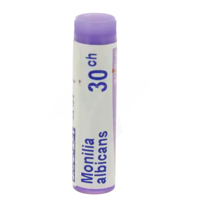 Boiron Monilia Albicans 30ch Globules Dose De 1g à La-Valette-du-Var
