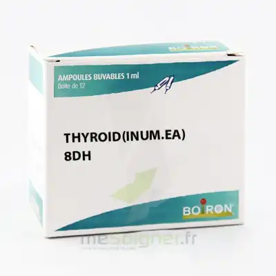 Thyroid(inum.ea) 8dh Boite 12 Ampoules à BRUGES