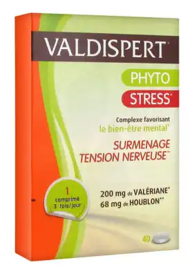 Valdispert Phyto Valériane+houblon Comprimés B/40 à Nice
