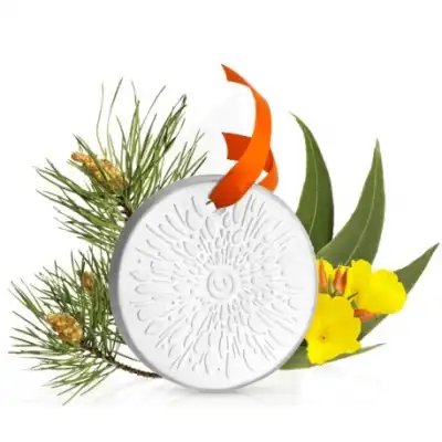 Puressentiel Diffusion Diffuseur Céramique Galet Médaillon Pour Huiles Essentielles à UGINE