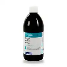 Eps Phytostandard Noyer Extrait Fluide Fl/500ml à LA-RIVIERE-DE-CORPS