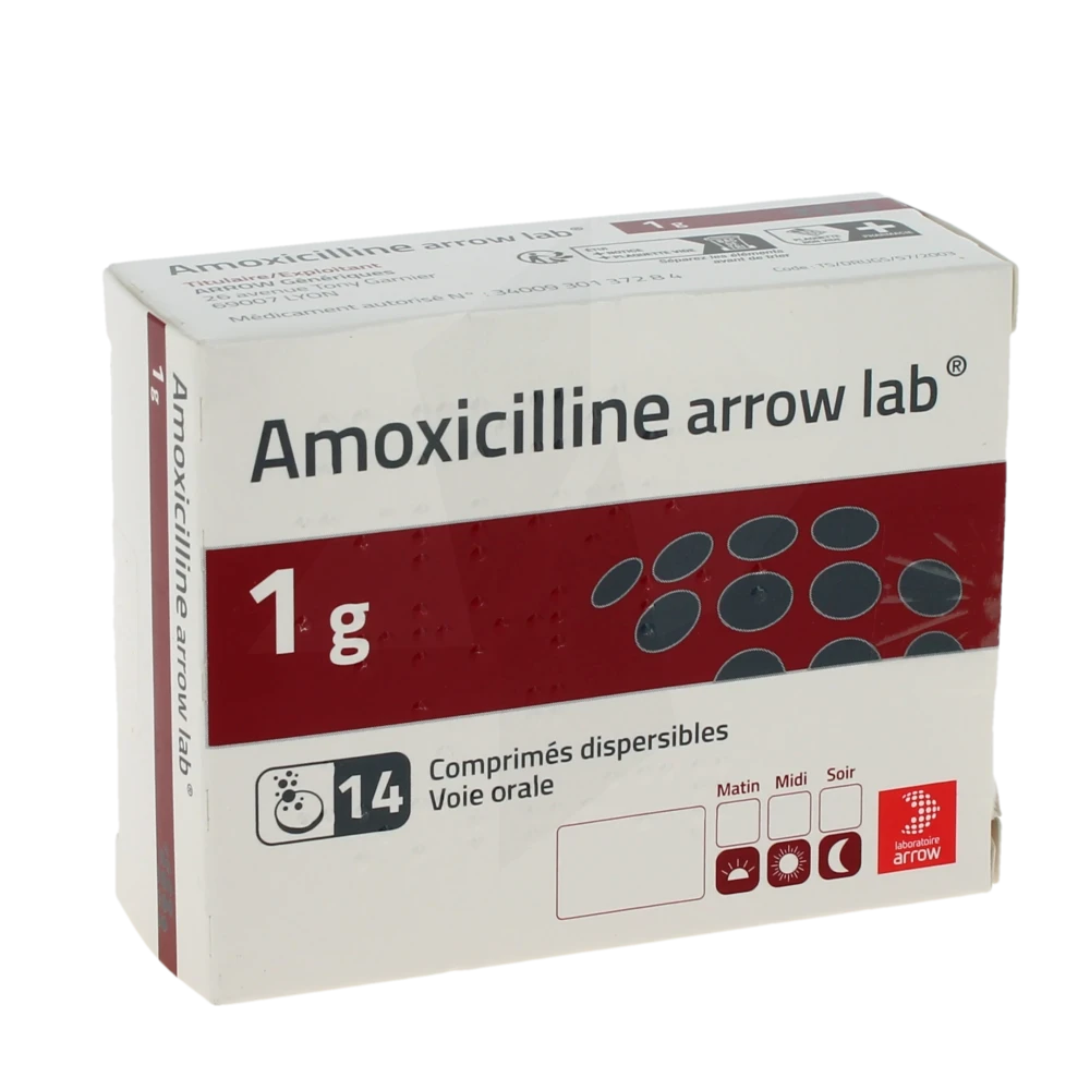 Amoxicilline Arrow Lab 1 G, Comprimé Dispersible
