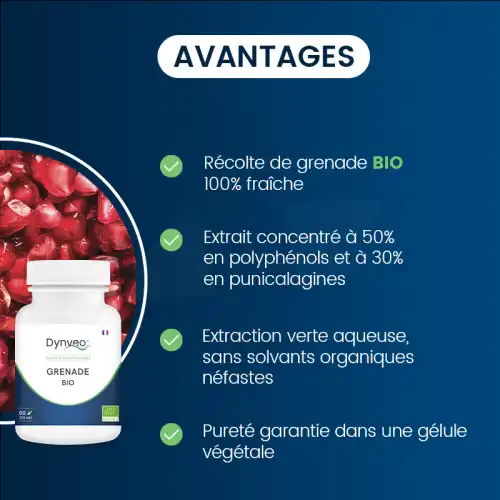 Dynveo Grenade Bio Concentrée 50% Polyphénols 30% Punicalagine 375mg 60 Gélules