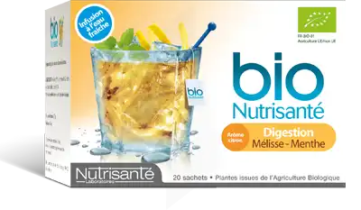 Nutrisante Infusions Bio Tis Froide Digestion 20sach