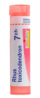 Boiron Rhus Toxicodendron 7ch Granules Tube De 4g à SAINT-MEDARD-EN-JALLES