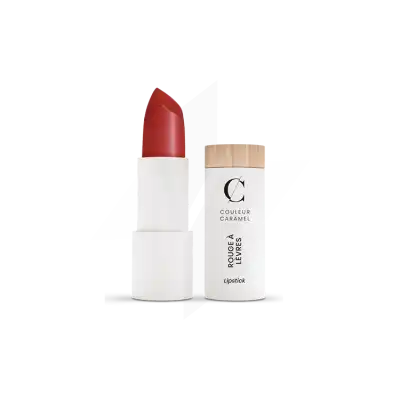 Couleur Caramel Rouge à Lèvres Mat N°120 Rouge Sombre 3,5g à VALENCE