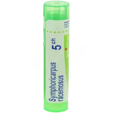 Boiron Symphoricarpus Racemosus 5ch Granules Tube De 4g à MONTAIGUT-SUR-SAVE