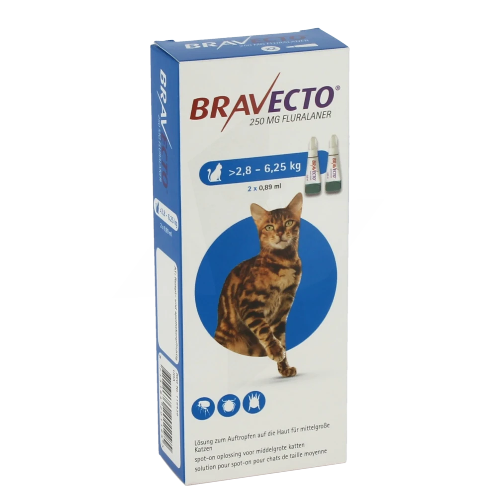 Bravecto 250 Mg Solution Pour Spot-on Pour Chats De Taille Moyenne (> 2,8 - 6,25 Kg), Solution Pour Spot-on