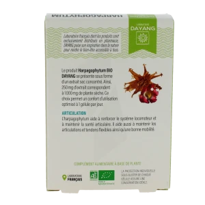 Dayang Phytotherapie Harpagophytum Bio Gél B/30
