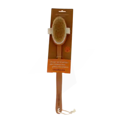 Sanodiane Brosse Bain Boîte De 1 à Joyeuse