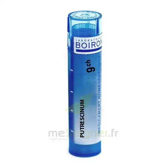 Boiron Putrescinum 9ch Granules Tube De 4g