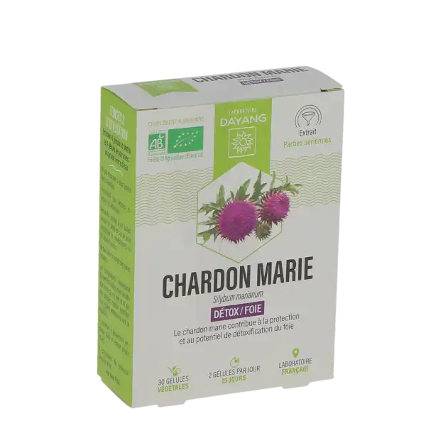Dayang Phytotherapie Chardon Marie Bio Gél B/30