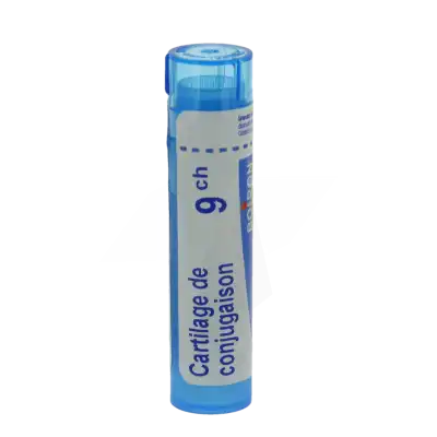 Boiron Cartilage De Conjugaison 9ch Granules Tube De 4g à Mérignac