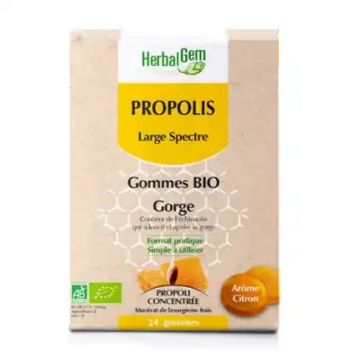 Herbalgem Propolis Large Spectre Gomme Bio B/24 à Saint-Etienne