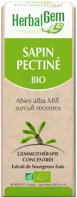 Herbalgem Sapin Pectine Macerat Mere Concentre Bio 30 Ml à Mérignac