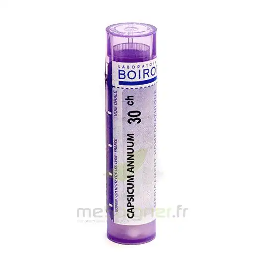 Boiron Capsicum Annuum 30ch Granules Tube De 4g