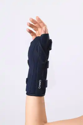 Gibaud - Manugib Trauma Poignet-pouce- Taille 2g - Main Gauche à CANALS