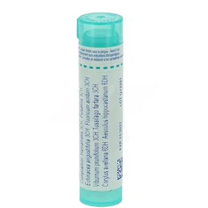 Boiron Hamamelis Compose Granules Tube De 4g
