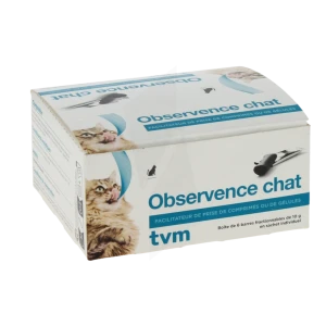 Observence Barrette Apétente Chat B/6