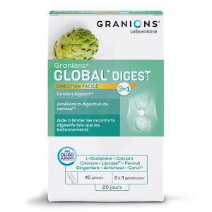 Granions Global Digest Gélules B/45