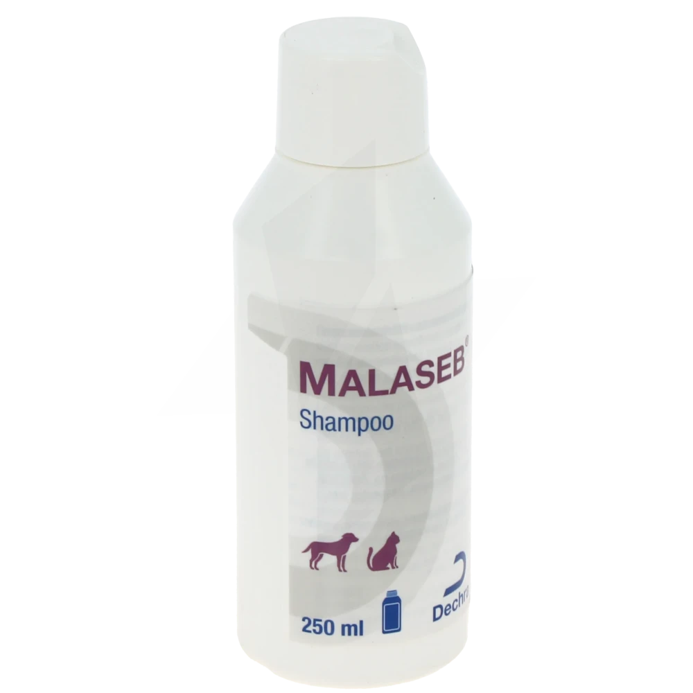 Malaseb Shampoo, Shampooing