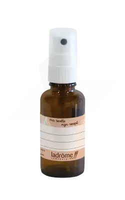 Ladrôme Flacon vide avec pompe spray