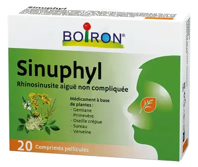 Boiron Sinuphyl Comprimés Pelliculés Plq/20 à VITRE