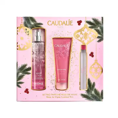 Caudalie Rose Des Vignes 50ml Coffret à SAINT-MEDARD-EN-JALLES