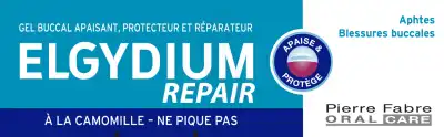 Elgydium Repair Pansoral Repair 15ml à AUCAMVILLE