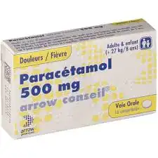 Paracetamol Arrow Conseil 500 Mg, Comprimé Effervescent Sécable à ROCHEMAURE