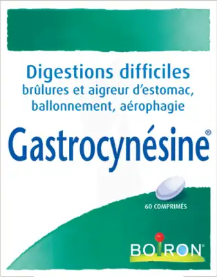 Boiron Gastrocynesine Comprimés B/60 à AMBARÈS-ET-LAGRAVE