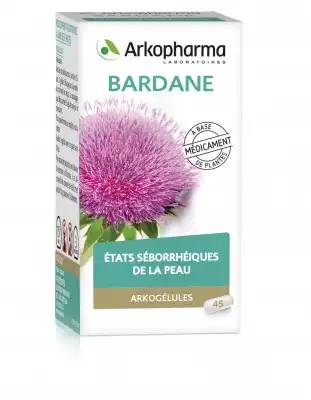 Arkogelules Bardane Gélules Fl/45 à Lacanau