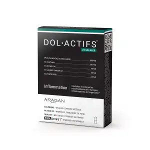 Synactifs Doloactifs Gélules B/20 à FRENEUSE