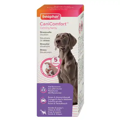Beaphar Canicomfort Spray Aux Phéromones Pour Chiens Et Chiots 60ml à SARROLA-CARCOPINO