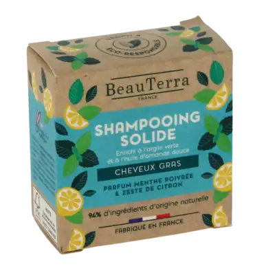 Beauterra Shampooing Solide Cheveux Gras B/75g à SAINT-JEAN-DE-LIVERSAY