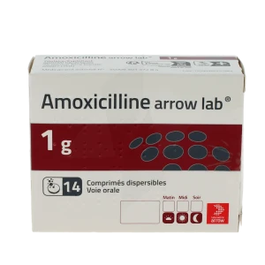 Amoxicilline Arrow Lab 1 G, Comprimé Dispersible