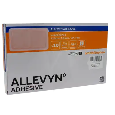 Allevyn Adhesive, 12,5 Cm X 22,5 Cm , Bt 10 à SAINT-ROMAIN-DE-COLBOSC