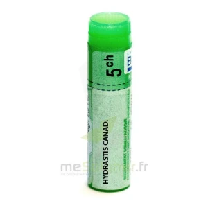 Boiron Hydrastis Canadensis 5ch Globules Dose De 1g