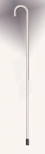 Herdegen Canne Blanche