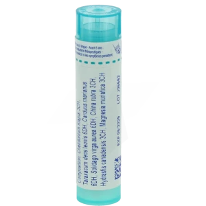 Boiron Chelidonium Compose Granules Tube De 4g