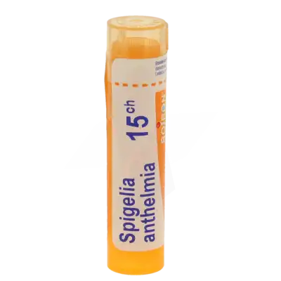 Boiron Spigelia Anthelmia 15ch Granules Tube De 4g à Mérignac