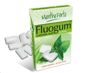 Fluogum Chew Gum Dragée Menthe Forte à ROMORANTIN-LANTHENAY