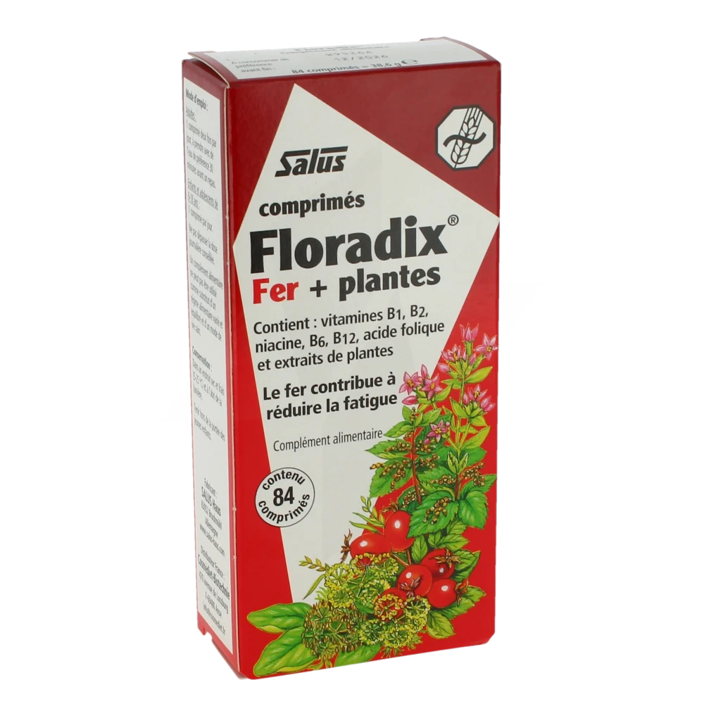 Floradix Fer+plantes Comprimés Vigueur énergie B/84