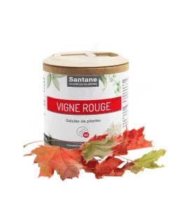 Santane Vigne Rouge Gélules De Poudre De Plantes 270mg B/60