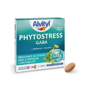 Alvityl Phytostress Gaba Comprimés B/28 à Garges-lès-Gonesse