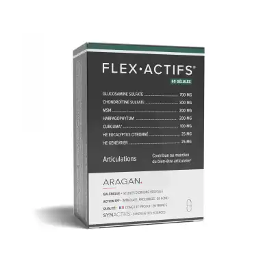 Aragan Synactifs Flexactifs Gélules B/60 à Agen