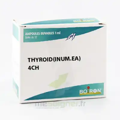 Thyroid(inum.ea) 4ch Boite 12 Ampoules à Eysines