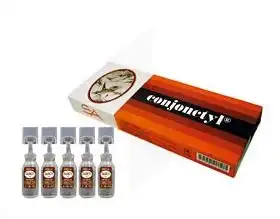 Conjonctyl Solution injectable intradermique comblement d'une ride ou cicatrice 10 Ampoules/5ml